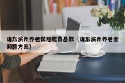 山东滨州养老保险缴费基数（山东滨州养老金调整方案）