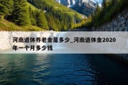 河南退休养老金是多少_河南退休金2020年一个月多少钱