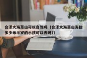 会泽大海草山可以自驾吗（会泽大海草山海拔多少米半岁的小孩可以去吗?）