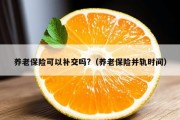 养老保险可以补交吗?（养老保险并轨时间）