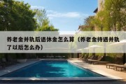 养老金并轨后退休金怎么算（养老金待遇并轨了以后怎么办）