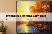 机构改革2020（机构改革具体方案2024）