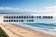 河南省退休金基数是多少钱一个月_河南省退休金基数是多少钱一个月啊