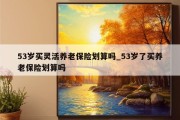 53岁买灵活养老保险划算吗_53岁了买养老保险划算吗