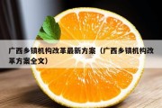 广西乡镇机构改革最新方案（广西乡镇机构改革方案全文）