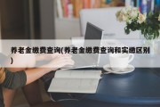 养老金缴费查询(养老金缴费查询和实缴区别)