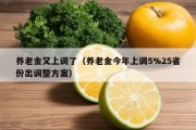 养老金又上调了（养老金今年上调5%25省份出调整方案）