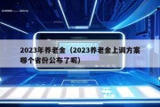 2023年养老金（2023养老金上调方案哪个省份公布了呢）