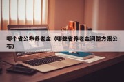 哪个省公布养老金（哪些省养老金调整方案公布）