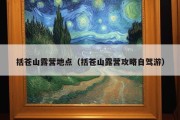 括苍山露营地点（括苍山露营攻略自驾游）