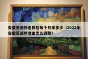 安徽芜湖养老保险每个月拿多少（2022年安徽芜湖养老金怎么调整）