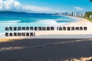 山东省滨州市养老保险基数（山东省滨州市养老金发放标准表）