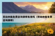 劳动仲裁免费咨询律师有用吗（劳动仲裁免费咨询律师）