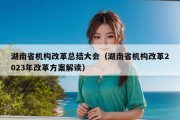 湖南省机构改革总结大会（湖南省机构改革2023年改革方案解读）