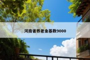 河南省养老金基数9000