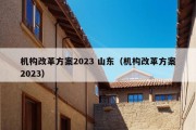 机构改革方案2023 山东（机构改革方案2023）