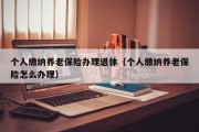 个人缴纳养老保险办理退休（个人缴纳养老保险怎么办理）