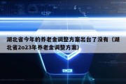 湖北省今年的养老金调整方案出台了没有（湖北省2o23年养老金调整方案）