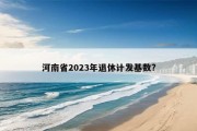 河南省2023年退休计发基数?