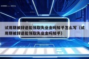 试用期被辞退能领取失业金吗知乎怎么写（试用期被辞退能领取失业金吗知乎）