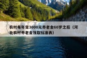 农村每年交3000元养老金60岁之后（河北农村养老金领取标准表）