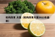 机构改革 方案（机构改革方案2023年最新）