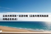 云南大理洱海一日游攻略（云南大理洱海旅游攻略必去景点）