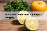 机构改革2018方案（机构改革方案2024年全文）