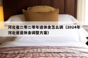 河北省二零二零年退休金怎么调（2024年河北省退休金调整方案）