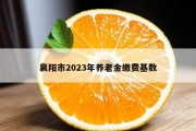 襄阳市2023年养老金缴费基数