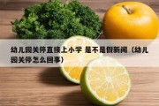 幼儿园关停直接上小学 是不是假新闻（幼儿园关停怎么回事）