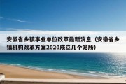 安徽省乡镇事业单位改革最新消息（安徽省乡镇机构改革方案2020成立几个站所）