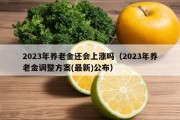 2023年养老金还会上涨吗（2023年养老金调整方案(最新)公布）