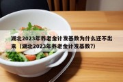 湖北2023年养老金计发基数为什么还不出来（湖北2023年养老金计发基数?）