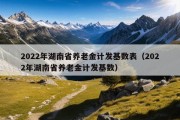 2022年湖南省养老金计发基数表（2022年湖南省养老金计发基数）