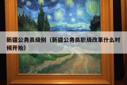 新疆公务员级别（新疆公务员职级改革什么时候开始）