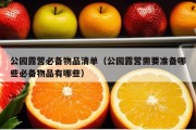 公园露营必备物品清单（公园露营需要准备哪些必备物品有哪些）