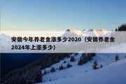 安徽今年养老金涨多少2020（安徽养老金2024年上涨多少）