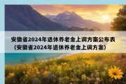 安徽省2024年退休养老金上调方案公布表（安徽省2024年退休养老金上调方案）