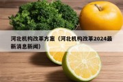 河北机构改革方案（河北机构改革2024最新消息新闻）