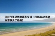 河北今年退休金涨多少钱（河北2024退休金涨多少了最新）