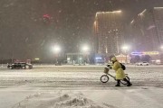 这样也行？！暴雪天气应急处理标准规范 十一出行指南 - 暴雪天气应急演练过程