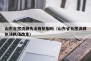 山东自然资源执法有制服吗（山东省自然资源执法队伍改革）