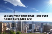 湖北省农村养老保险缴费标准（湖北省2023年养老金计发基数是多少）