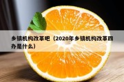 乡镇机构改革吧（2020年乡镇机构改革四办是什么）