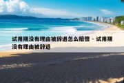 试用期没有理由被辞退怎么赔偿 - 试用期没有理由被辞退