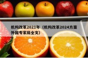 机构改革2021年（机构改革2024方案外国专家局全文）