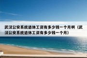 武汉公安系统退休工资有多少钱一个月啊（武汉公安系统退休工资有多少钱一个月）