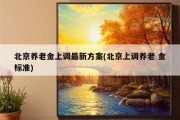 北京养老金上调最新方案(北京上调养老 金标准)