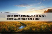 宿州市农村养老金2021年上调（2024年安徽砀山农村养老金多少钱啊）